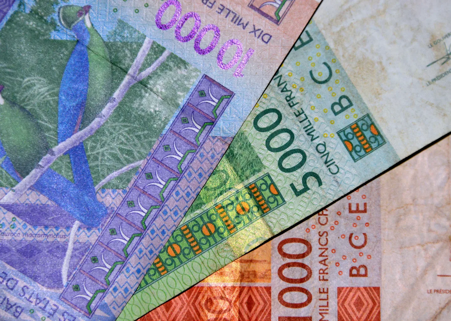 Le Cas de l'Afrique de l'Ouest : Faire Évoluer les Performances Commerciales sur des Marchés Rapides et Instables